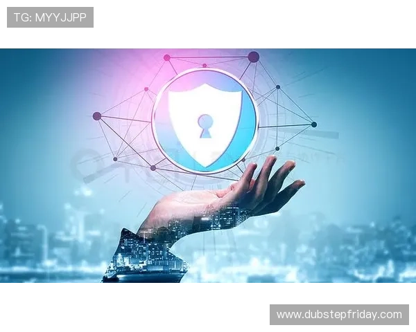 爱游戏体育app手机官方安全保障措施，保障用户信息安全与隐私保护